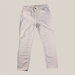 Jen7 for‎ All Mankind Women's Pants Lillac 5 Pockets Size 10 Ankle Skinny
